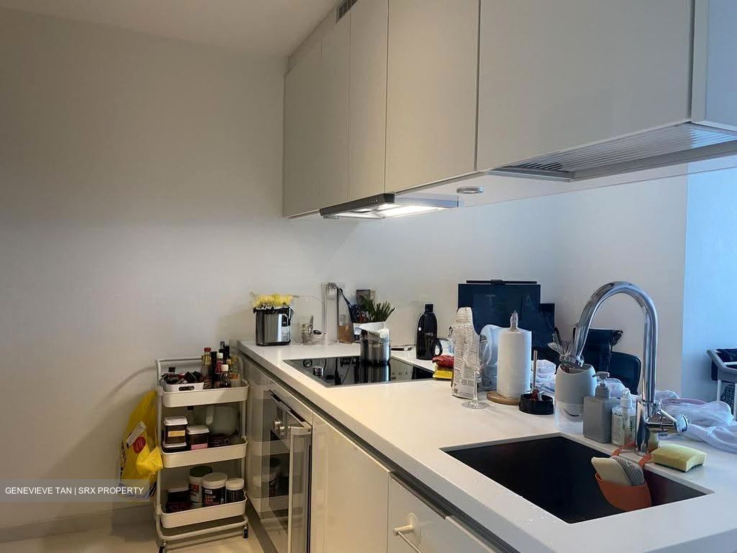 Nathan Suites (D10), Condominium #617031191